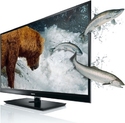 Toshiba 42" WL863 Full HD 3D PRO-LED TV