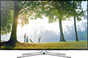 Samsung UE55H6200AW 55&quot; Full HD 3D compatibility Smart TV Wi-Fi Black, Silver