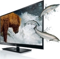 Toshiba 55" WL863 Full HD 3D PRO-LED TV with Freeview HD